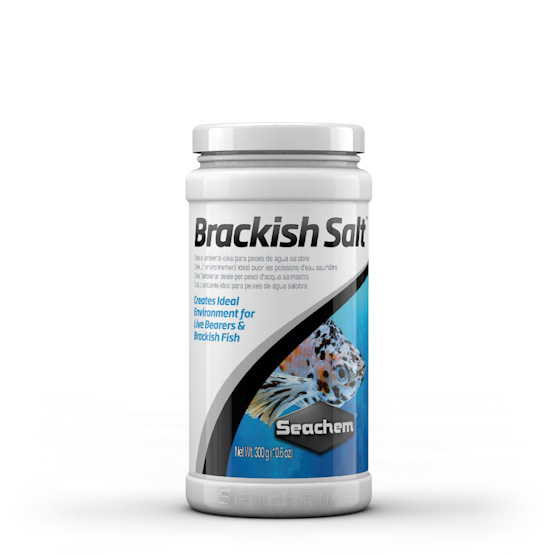 brackish salt