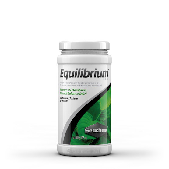 equilibrium